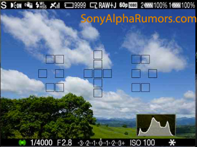 A77_evf.jpg