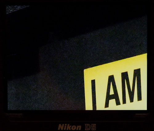 D5_iso204800.jpg
