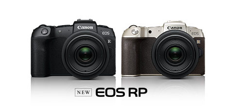 canon_eosrp_silver_gold_of_001.jpg