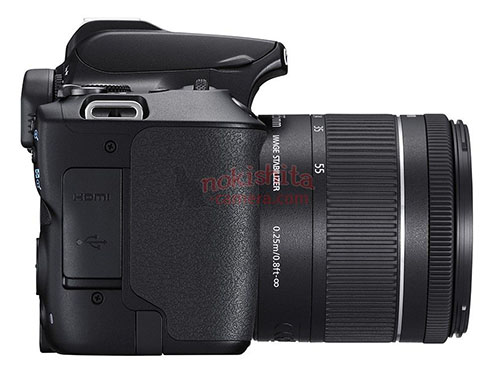 canon_kissX10_003.jpg