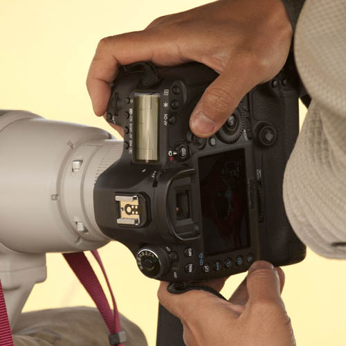 eos5d3or7d2.jpg
