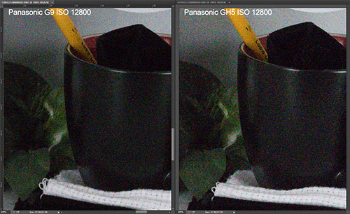 g9_vs_gh5_raw_comp_12800.jpg