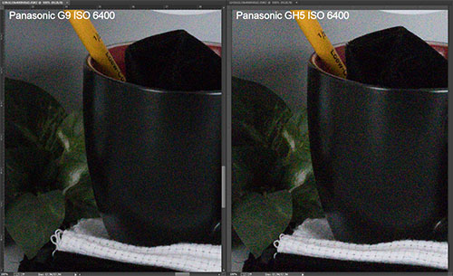 g9_vs_gh5_raw_comp_6400.jpg