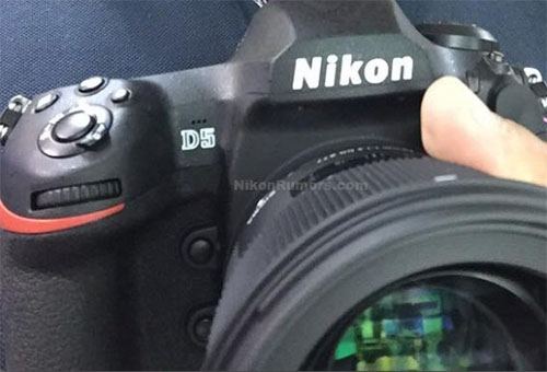 nikonD5_002.jpg