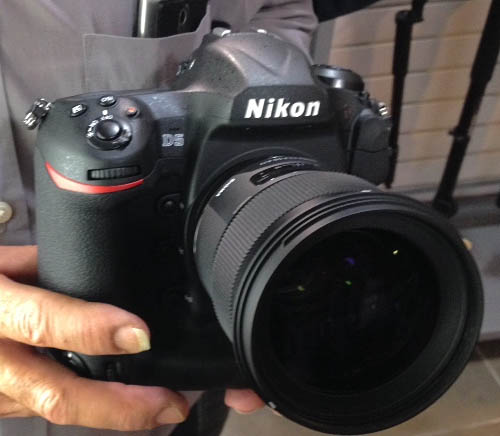 nikonD5_003.jpg