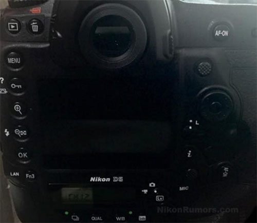 nikonD5_b001.jpg