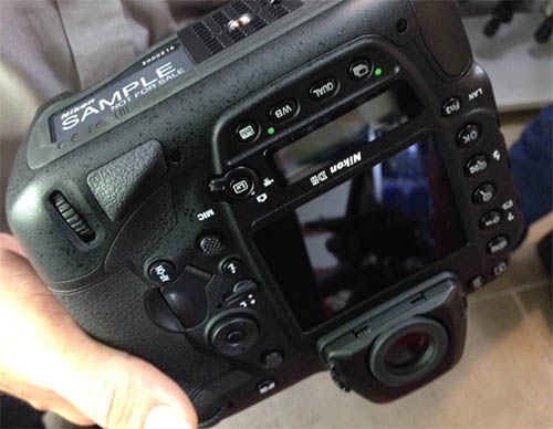 nikonD5_b003.jpg