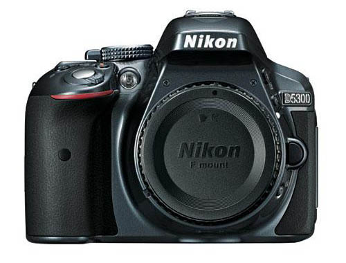 nikon_d5300_gray_f001.jpg