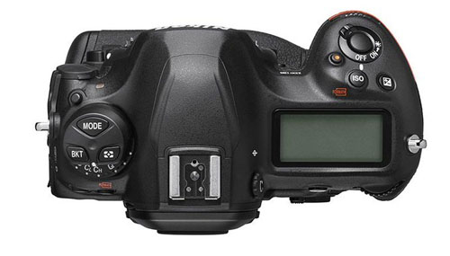 nikon_d6_200212_003.jpg