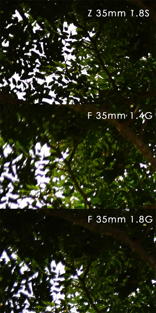 nikon_z35f18_comp_002.jpg