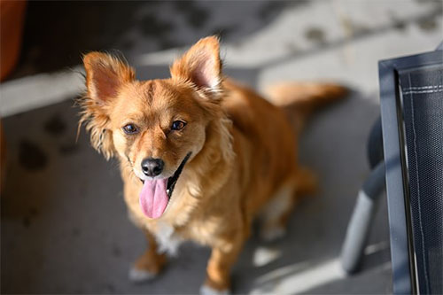 nikon_z85f18_sample_001.jpg