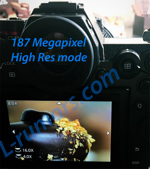 pana_s1r_187mp_highresomode_001.jpg