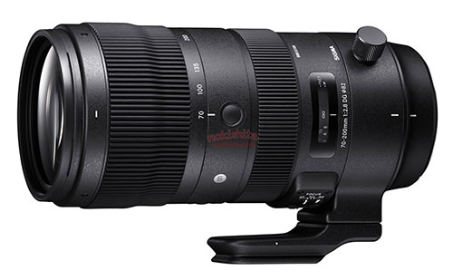 sigma_70-200f28_s_001.jpg