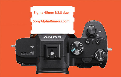 sony_45f28_silhouette.jpg