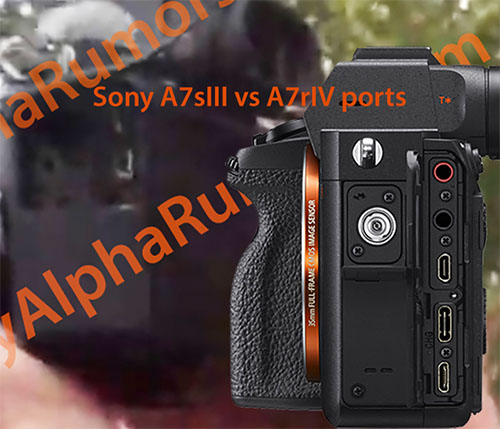 sony_a7riii_201912_002.jpg