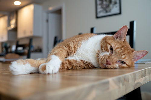 sony_e16-55f28_sample_001.jpg