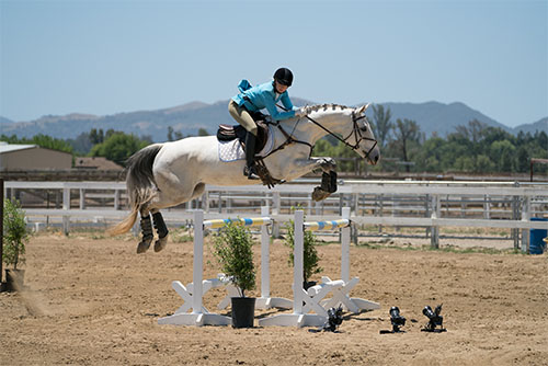 sony_fe100-400_sample001.jpg