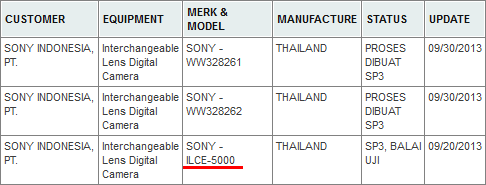 sony_registration_ilce5000.png