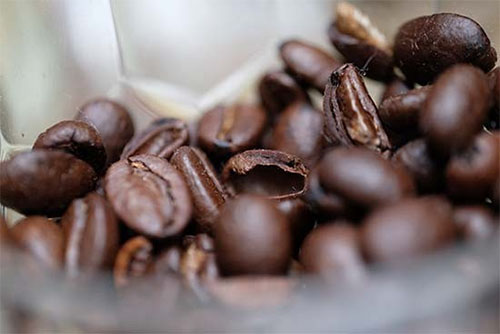 xf80macro_sample001.jpg