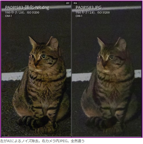 Adobe_lightroom_AInoisereduction_itm_001-2.jpg