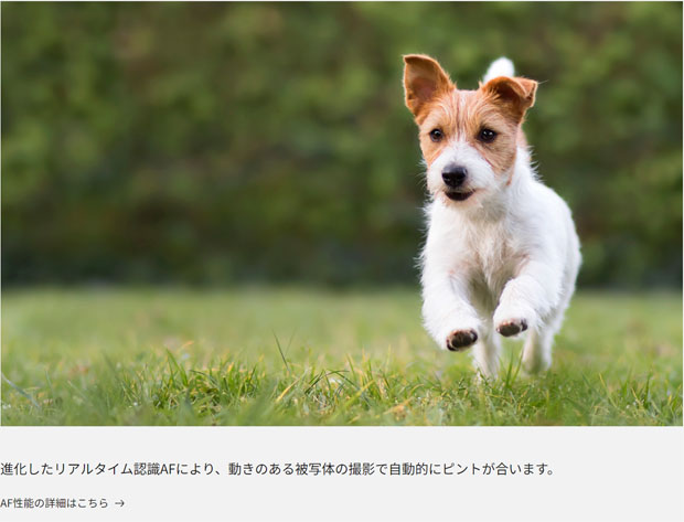 Lumix_S9_picture_stphoto_001.jpg