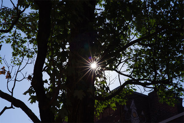 Pentax_HD_FA77mmF18Limitex_dpr_sample_001.jpg