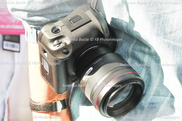 canon_EOSR1_monacoGP_004.jpg