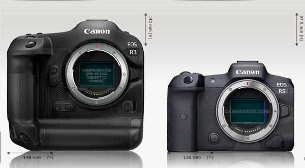 canon_EOSR3_size_comp_002.jpg