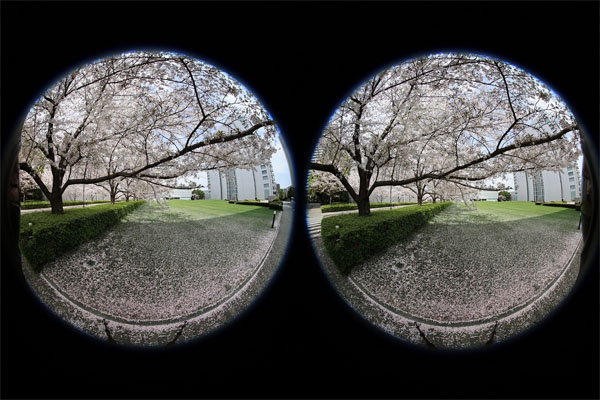 canon_RF5.2F28L_DUALFISHEYE_of_003.jpg