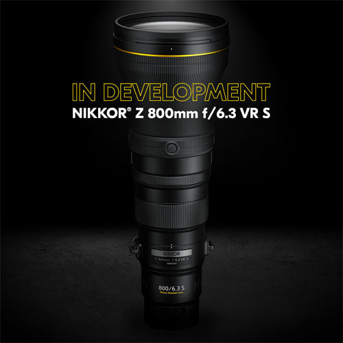 nikon_Z800mmf63VRPFS_0321_001.jpg
