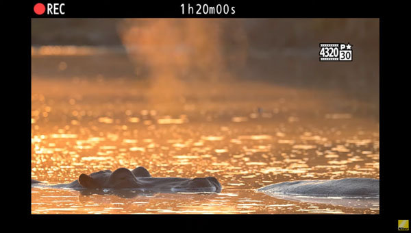 nikon_z9_teaser_movie2_003.jpg