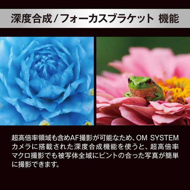 omsystem_OMDS_ED90mmF35MacroISPRO_013.jpg