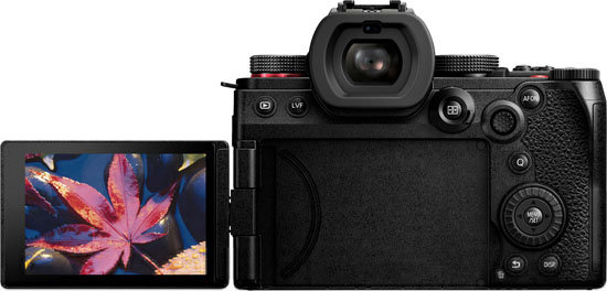 panasonic_LUMIXS5MarkII_20221230_003.jpg