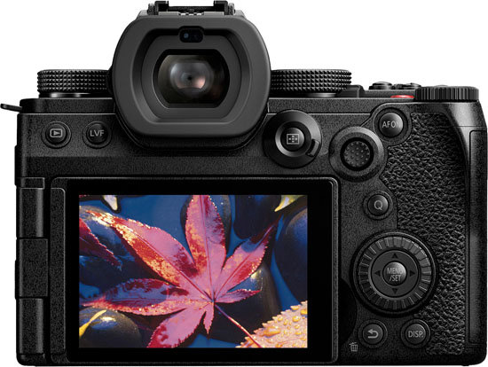 panasonic_LUMIXS5MarkIIx_20221230_013.jpg