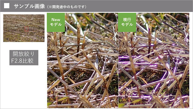 pentax_new_100macro_20220731_002.jpg