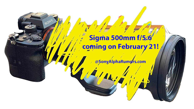 sigma_500mmF56_sar_001.jpg