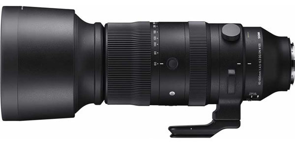 sigma_60-600mmF45-63DGDNOSSports_002.jpg