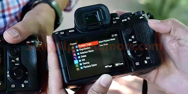 sony_A7IV_limage_012.jpg