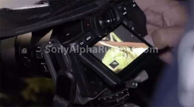 sony_A7RV_sa_003.jpg