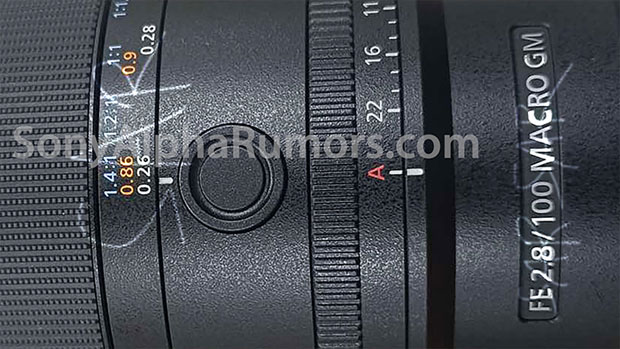 sony_FE100mmF28_sar_001.jpg