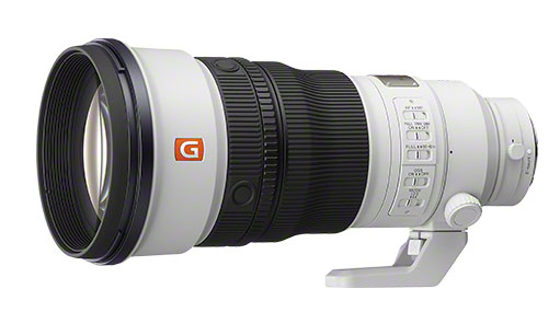 sony_FE300mmF28GMOSS_of_001.jpg