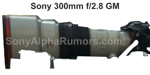sony_FE300mmF28GM_sar_001.jpg