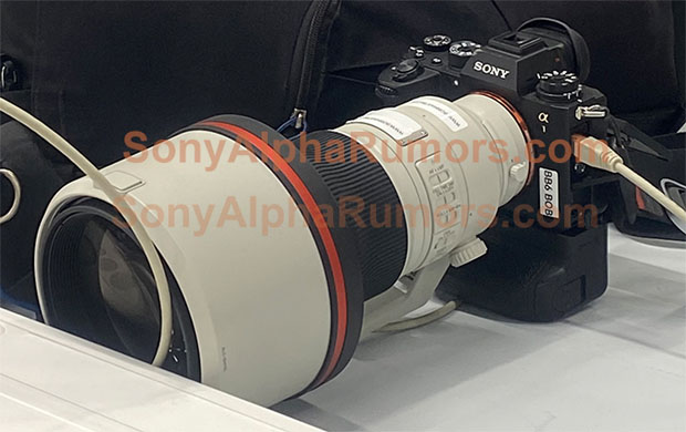 ソニー「FE 300mm F2.8 GM」の鮮明な画像 - デジカメinfo ソニー「FE 300mm F2.8 GM」の鮮明な画像 - デジカメinfo