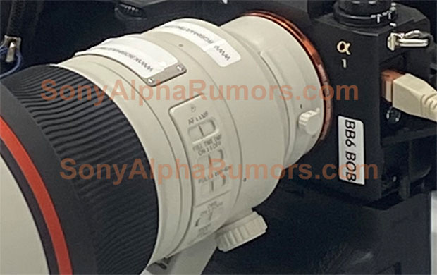 sony_FE300mmF28GM_sar_003.jpg