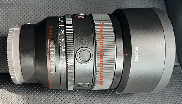 sony_FE50mmF14GM_sar_002.jpg