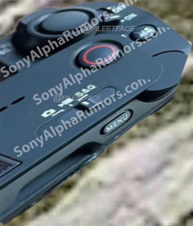 sony_ZV-E1_sar_002.jpg